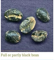 Grano negro completo o parcial
