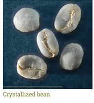 Grano cristalizado