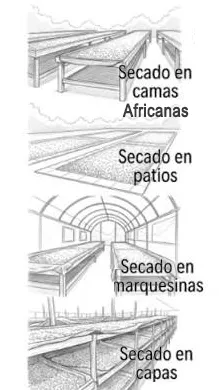 Método de secado