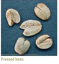 Grano prensado (pressed)